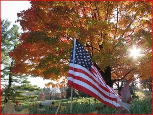 autumn flag